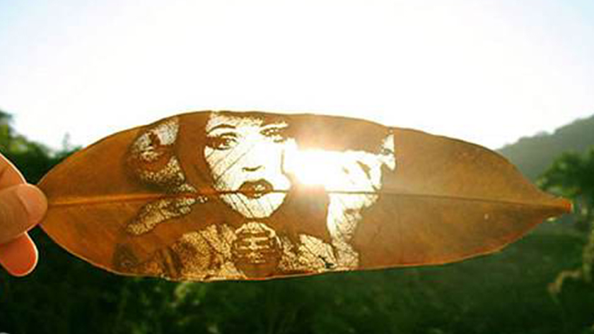 laser engraving sample